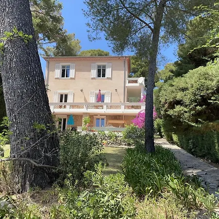 Rez-De-Chaussee Dans Grand Jardin Provencal, A La Villa Tatiana Juan-les-Pins Exterior photo